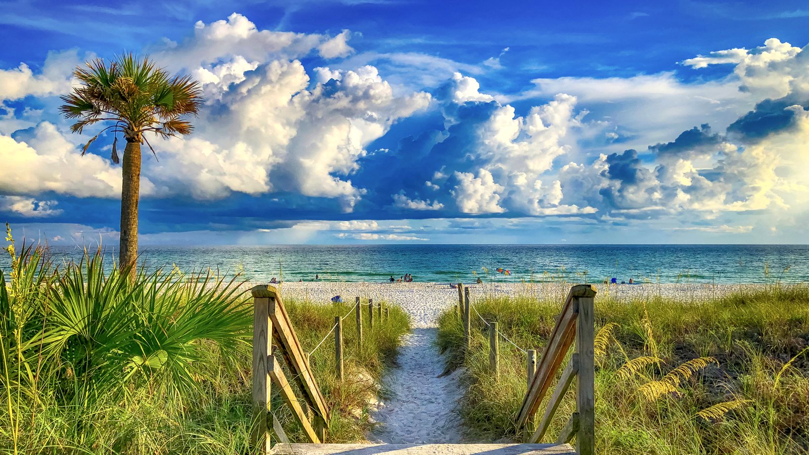 Boardwalk path to the Gulf near Panama City Beach
